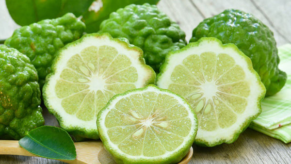 Bergamot Fragrance Oil