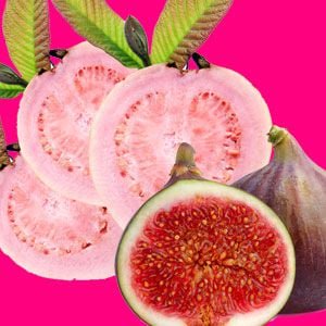 Guava Fig Fragrance Oil